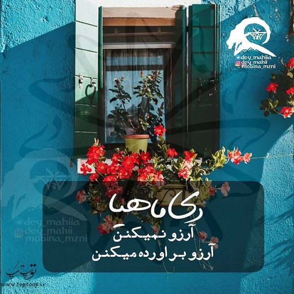 عکس پروفایل دی ماهی