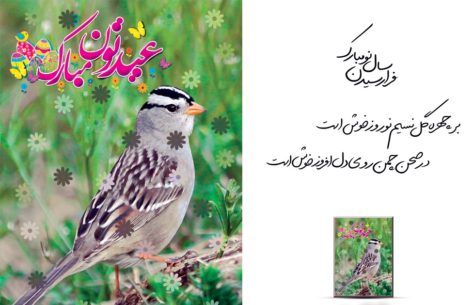 کارت تبریک سال نو و عید نوروز