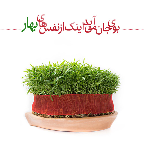 عکس پروفایل عید نوروز 1402