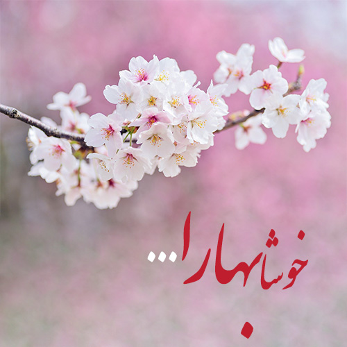 عکس پروفایل عید نوروز 1402