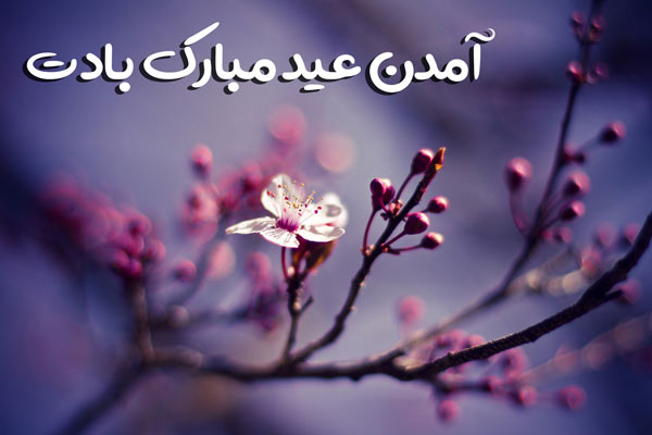 عکس پروفایل عید نوروز 1402
