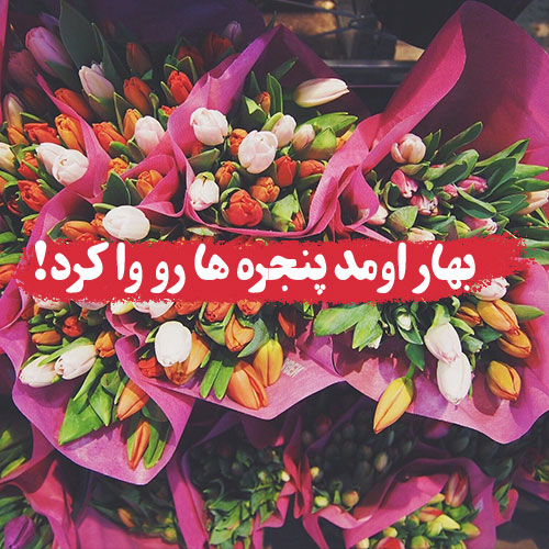 عکس پروفایل عید نوروز 1402