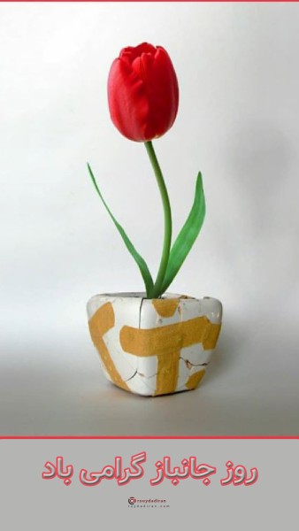 استوری روز جانباز