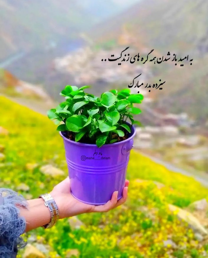 عکس پروفایل سیزده بدر