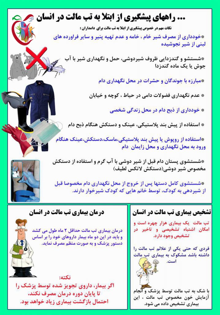 تب مالت
