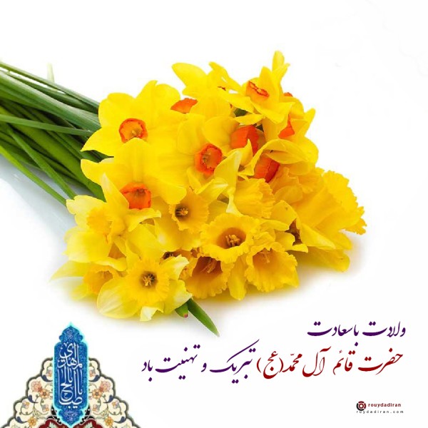 عکس ولادت امام زمان برای پروفایل