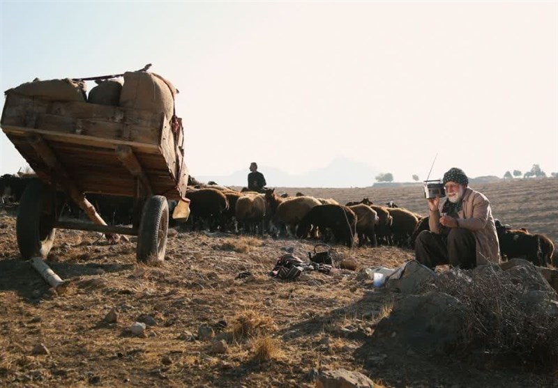 سریال سوران