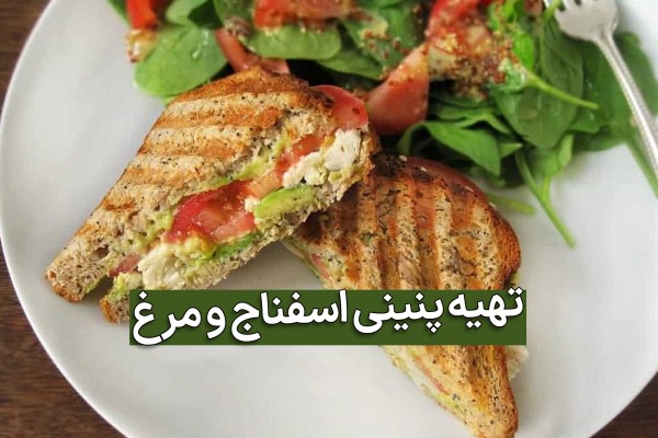 پنینی اسفناج و مرغ 2 قطعه در ظرف پذیرایی سفید و عکس نوشته طرز تهیه