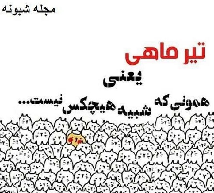 استوری تیرماهی