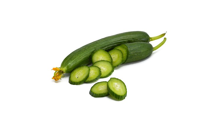 خیار گلخانه ای