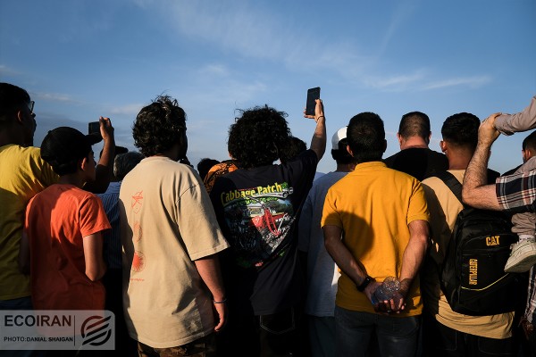 همایش خودروهای کلاسیک تهران خرداد 1402