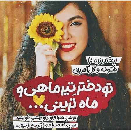 پروفایل تیرماهی