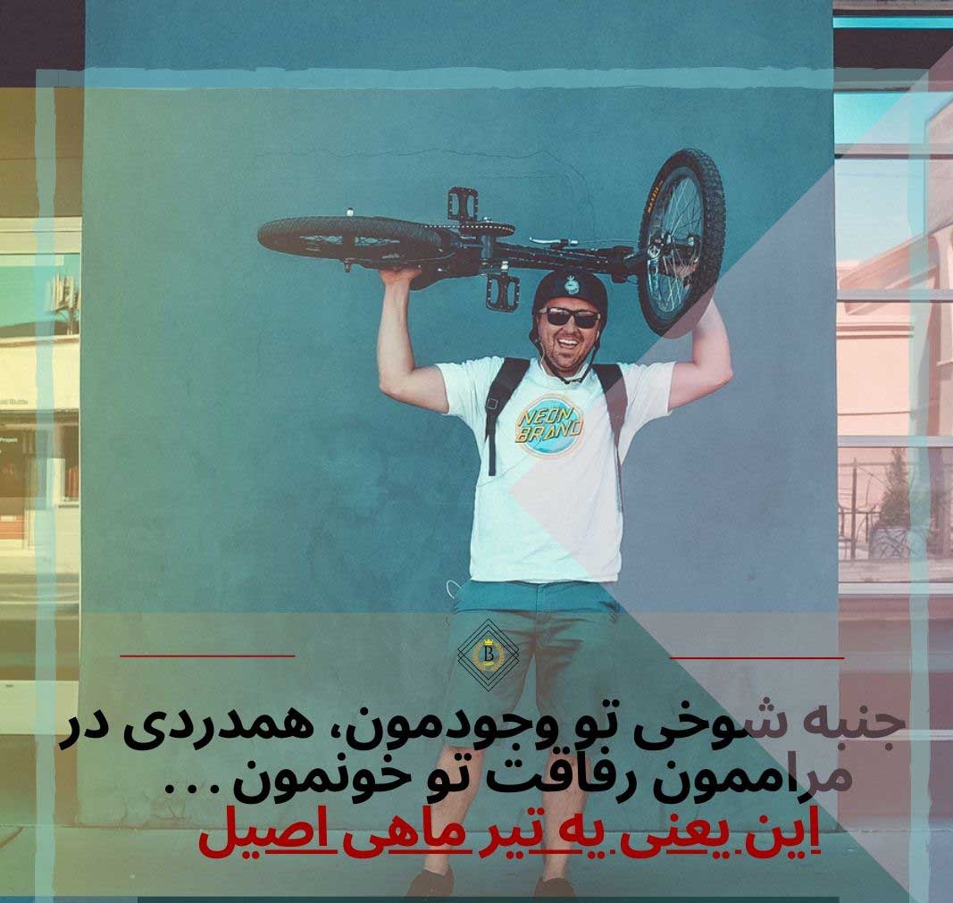 پروفایل تیرماهی