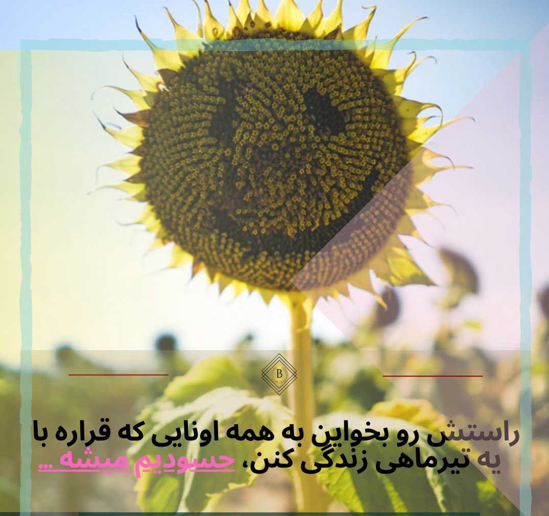 عکس پروفایل خصوصیات تیر ماهی