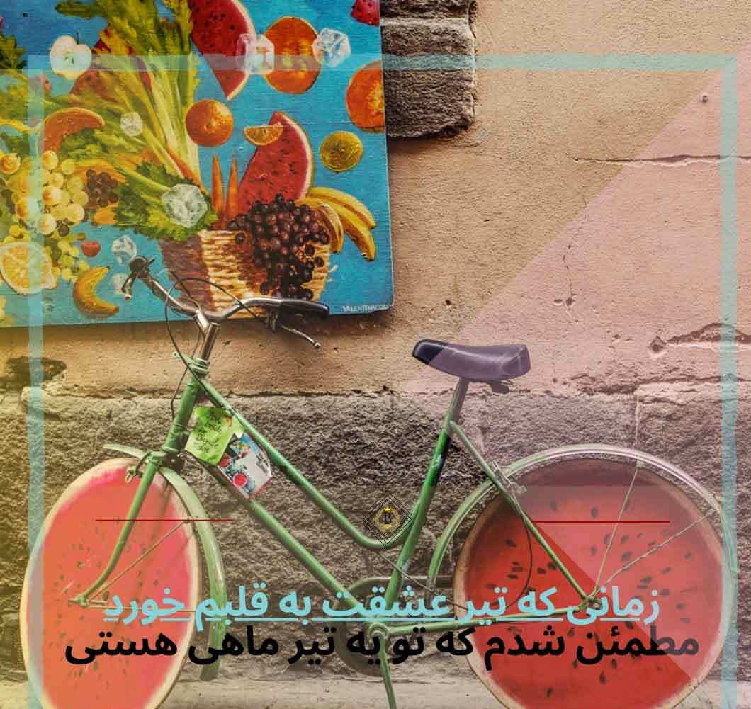 عکس پروفایل خصوصیات تیر ماهی