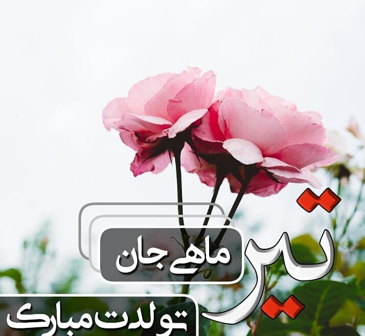 پروفایل تیرماهی