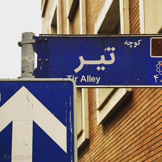 پروفایل تیرماهی