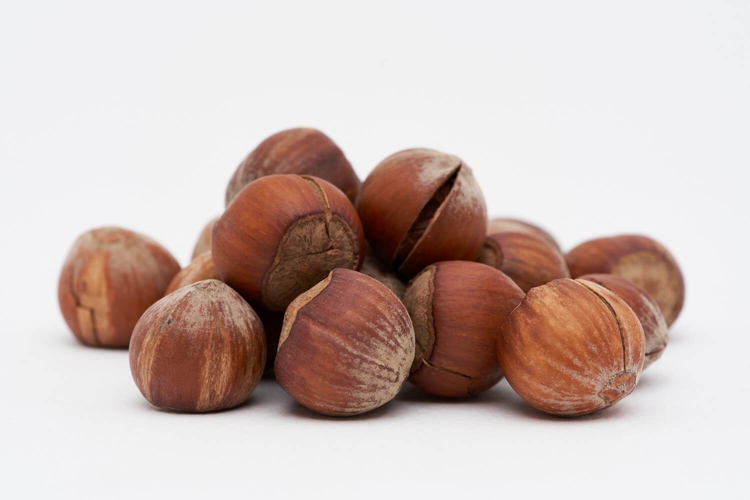 فندق