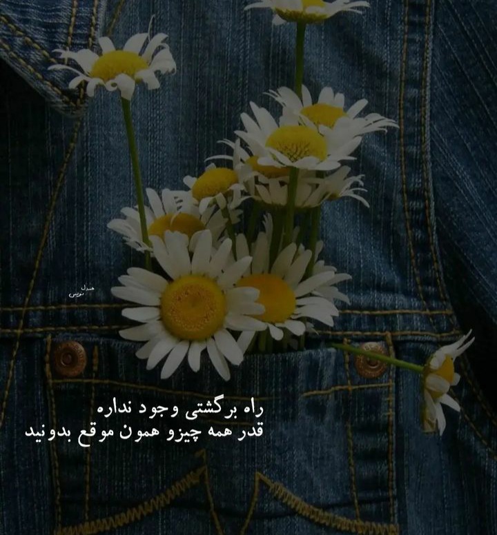 عکس پروفایل دخترانه