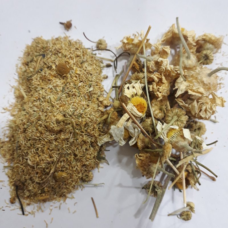 بابونه تلخ سمت راست و بابونه شیرین سمت چپ