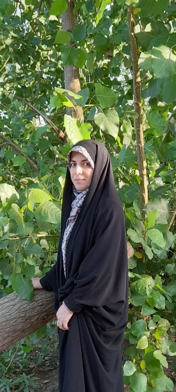 سمیه سلیمانی شیجانی، نویسنده و منتقد