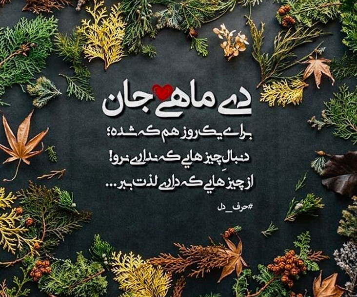 عکس دی ماهی برای پروفایل