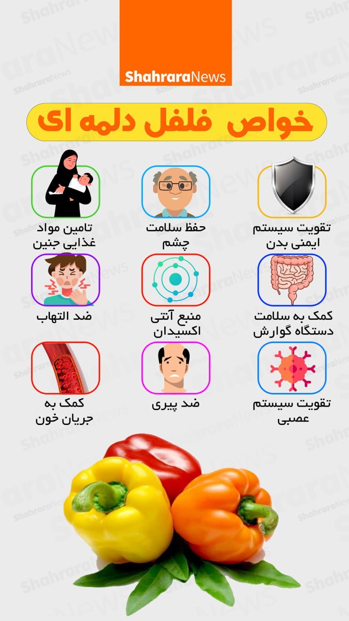 خواص فلفل دلمه ای
