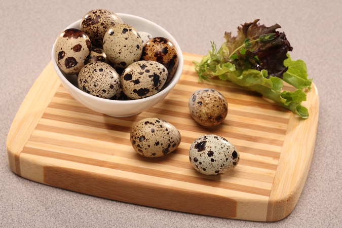 تخم بلدرچین