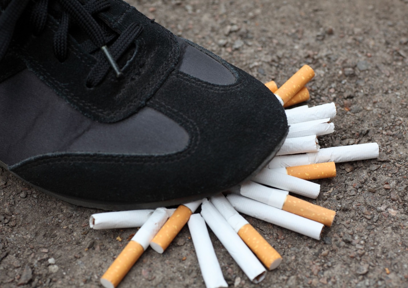 A close-up of a shoe stepping on cigarettesDescription