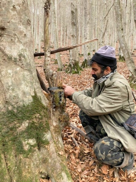 پایش مشارکتی و بازسازی زیستگاه گونه‌های ارزشمند در جنگل‌های چلاو مازندران؛ اجرای پروژه با مشارکت مؤسسه حامیان حیات‌وحش چلاو