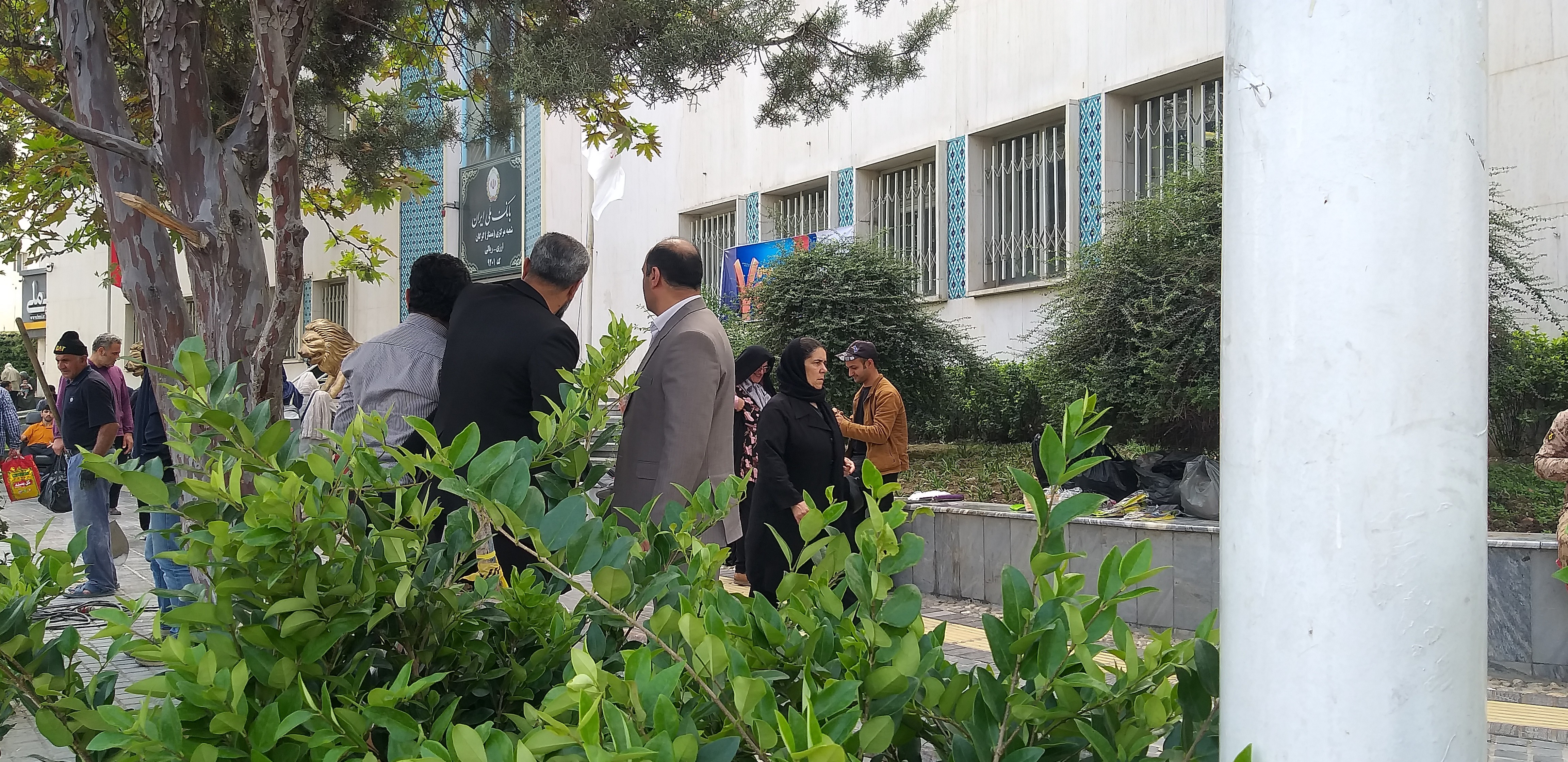 کاشت یاس هلندی در میدان شهرداری گرگان