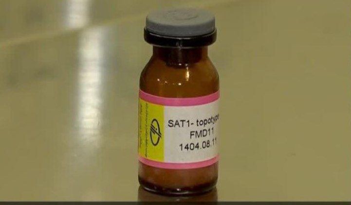 واکسن جدید تب برفکی با ویروس غیر بومی SAT1 را پس از تایید سازمان دامپزشکی تولید می کنیم